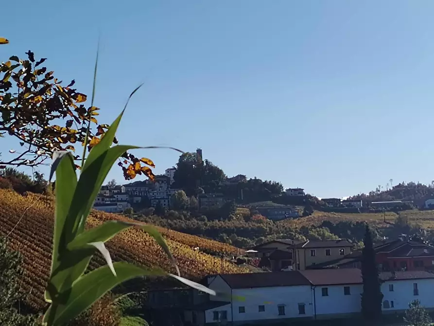 Immagine 23 di Rustico / casale in vendita  in Via Canelli a Cassinasco