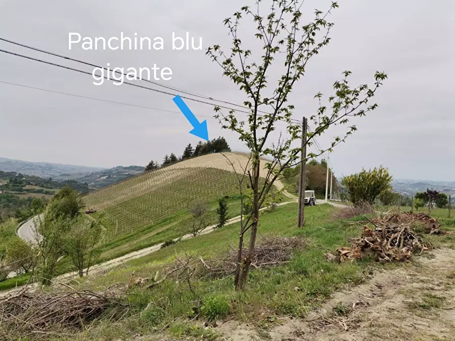 Immagine 18 di Rustico / casale in vendita  in Via Canelli a Cassinasco