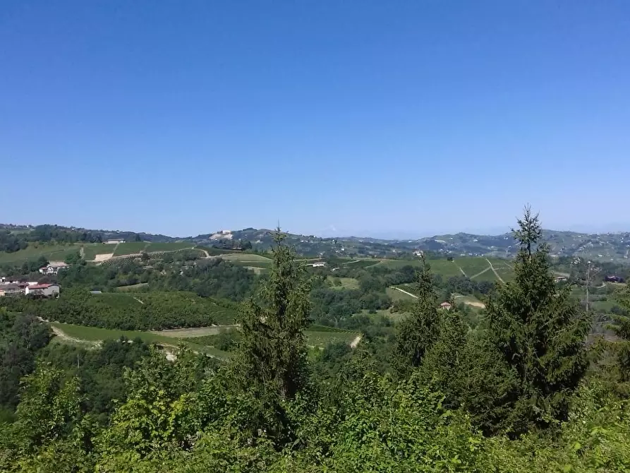 Immagine 24 di Rustico / casale in vendita  in Via Canelli a Cassinasco