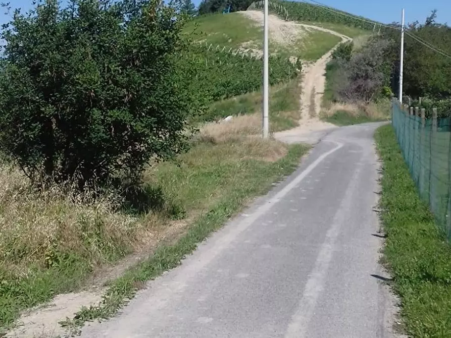 Immagine 27 di Rustico / casale in vendita  in Via Canelli a Cassinasco