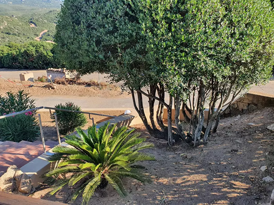 Immagine 15 di Villetta a schiera in vendita  in Via li cossi H 101/A a Trinità D'agultu E Vignola