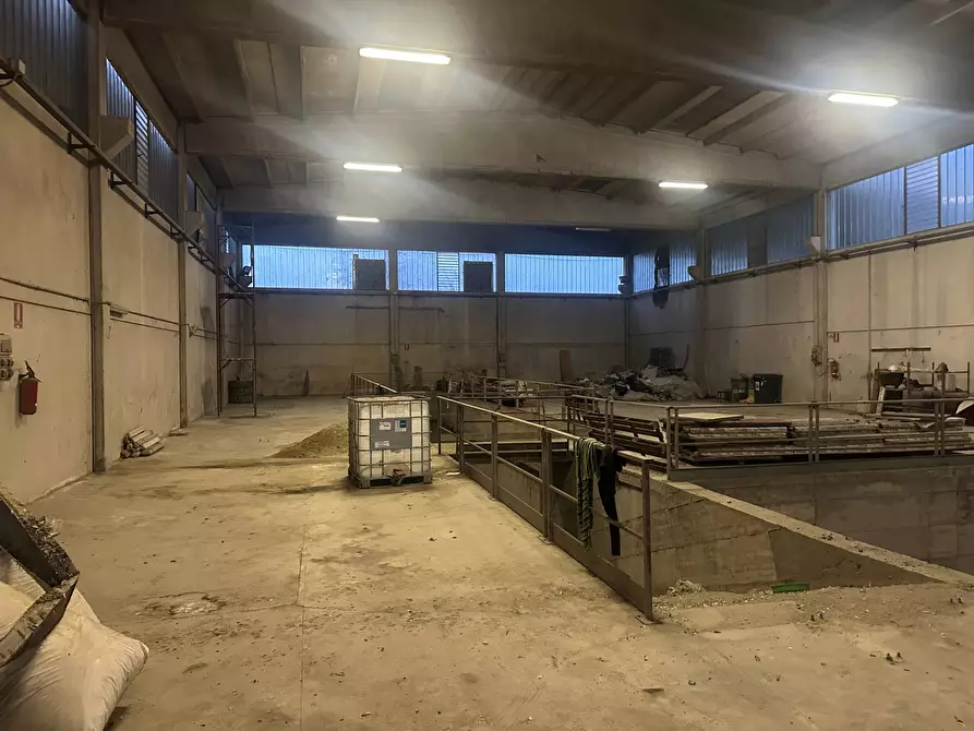 Immagine 5 di Capannone industriale in affitto  in Via Venaria a Collegno