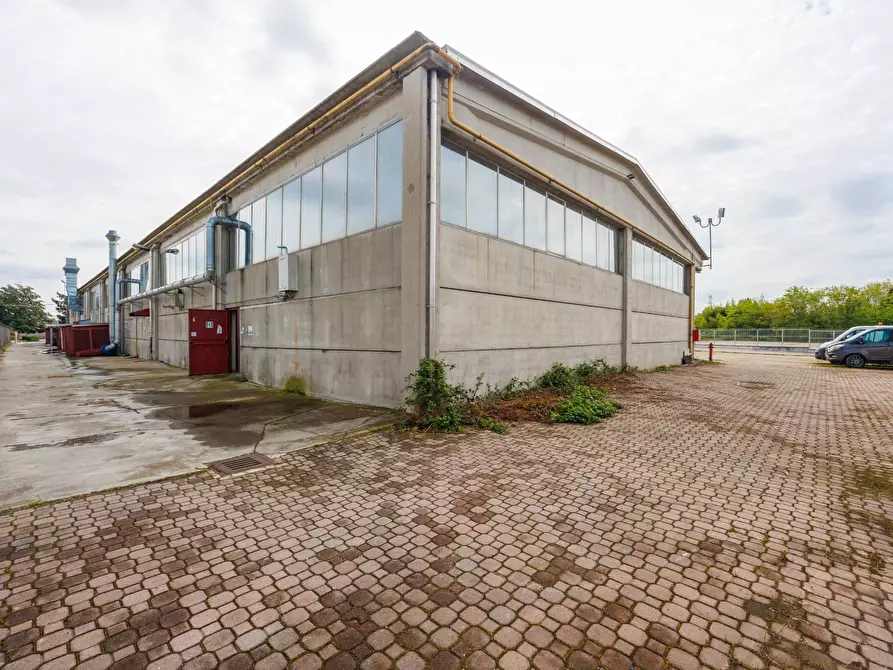 Immagine 7 di Capannone industriale in affitto  in Strada Carpice a Moncalieri