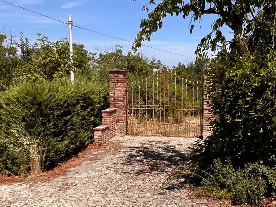 Immagine 7 di Rustico / casale in vendita  in Regione Secco 72 a Canelli