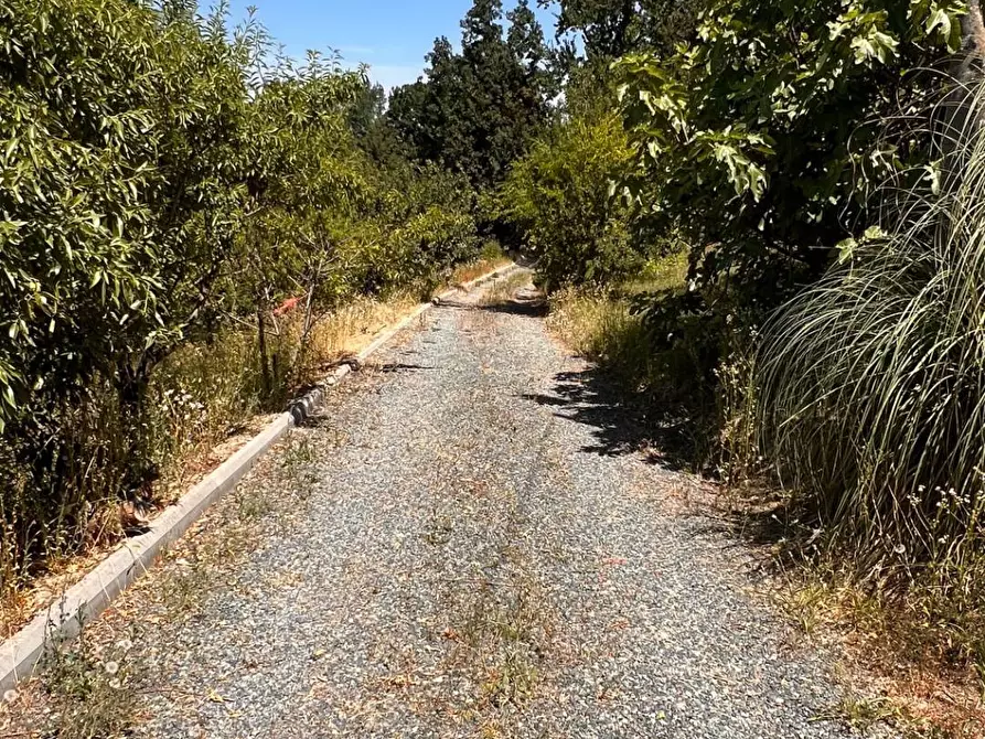 Immagine 9 di Rustico / casale in vendita  in Regione Secco 72 a Canelli
