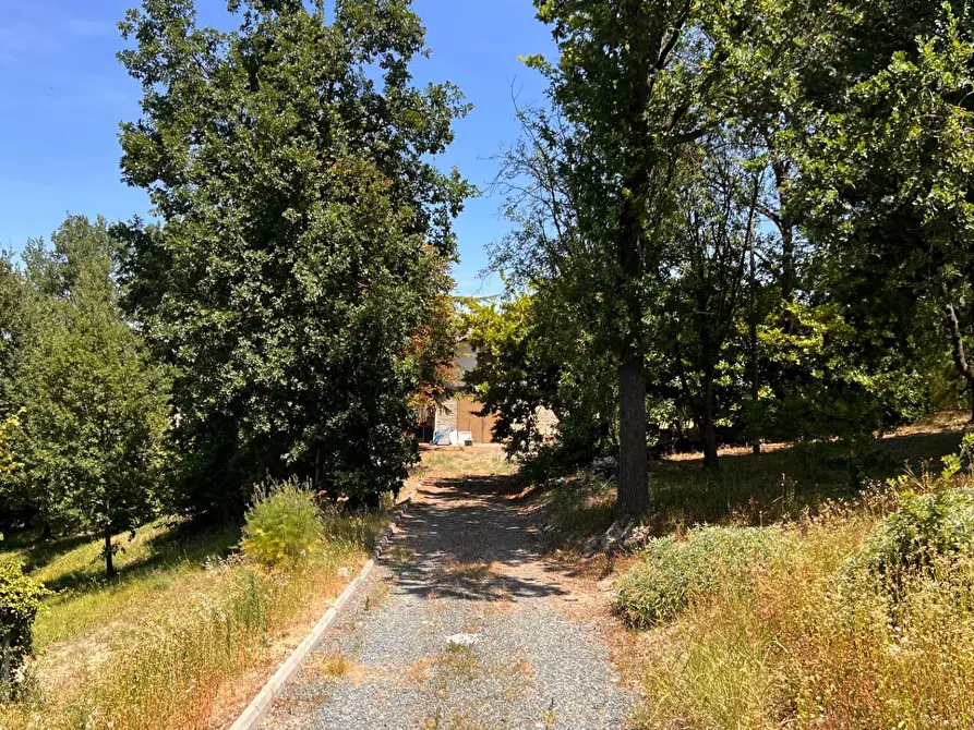 Immagine 10 di Rustico / casale in vendita  in Regione Secco 72 a Canelli