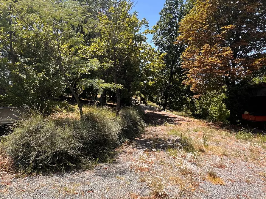 Immagine 34 di Rustico / casale in vendita  in Regione Secco 72 a Canelli