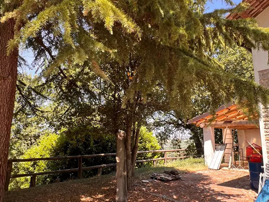Immagine 36 di Rustico / casale in vendita  in Regione Secco 72 a Canelli