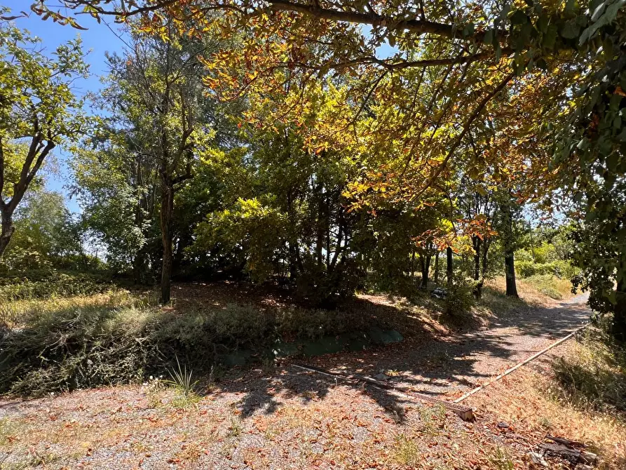 Immagine 38 di Rustico / casale in vendita  in Regione Secco 72 a Canelli