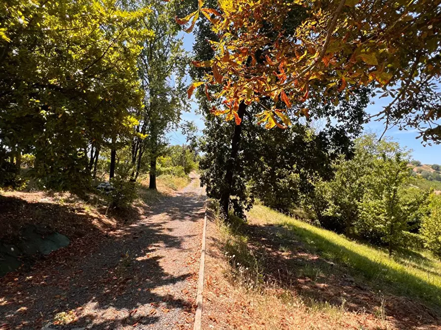 Immagine 39 di Rustico / casale in vendita  in Regione Secco 72 a Canelli