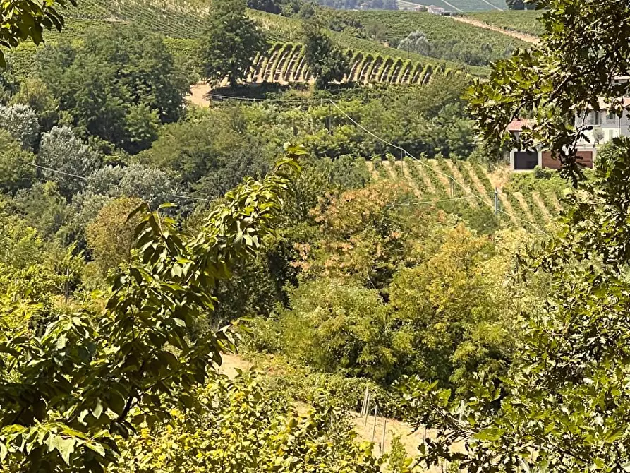 Immagine 40 di Rustico / casale in vendita  in Regione Secco 72 a Canelli