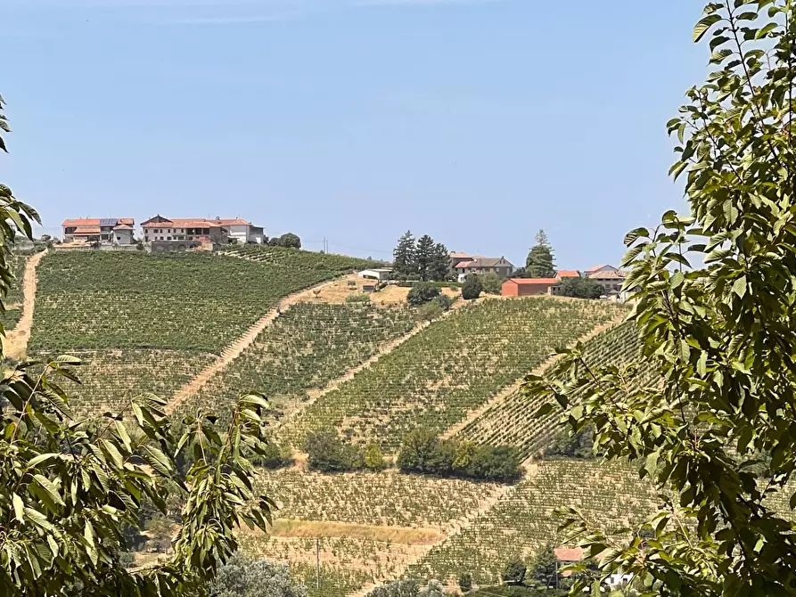 Immagine 42 di Rustico / casale in vendita  in Regione Secco 72 a Canelli