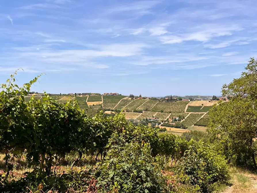 Immagine 43 di Rustico / casale in vendita  in Regione Secco 72 a Canelli