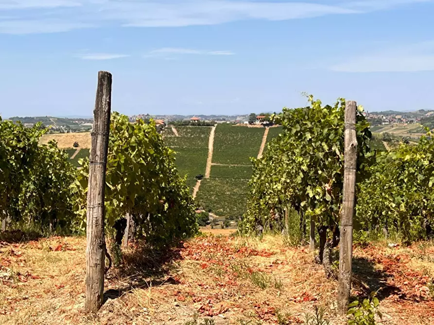 Immagine 48 di Rustico / casale in vendita  in Regione Secco 72 a Canelli