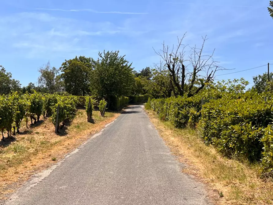 Immagine 50 di Rustico / casale in vendita  in Regione Secco 72 a Canelli