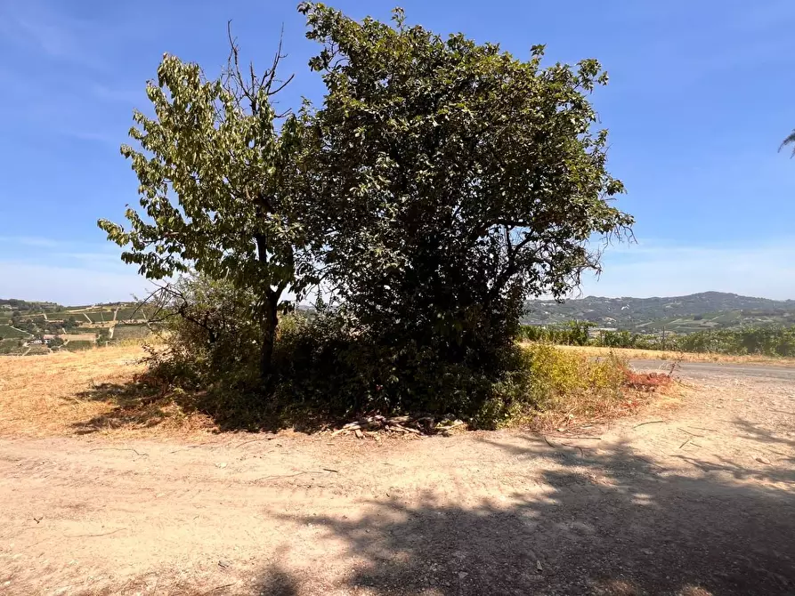 Immagine 54 di Rustico / casale in vendita  in Regione Secco 72 a Canelli