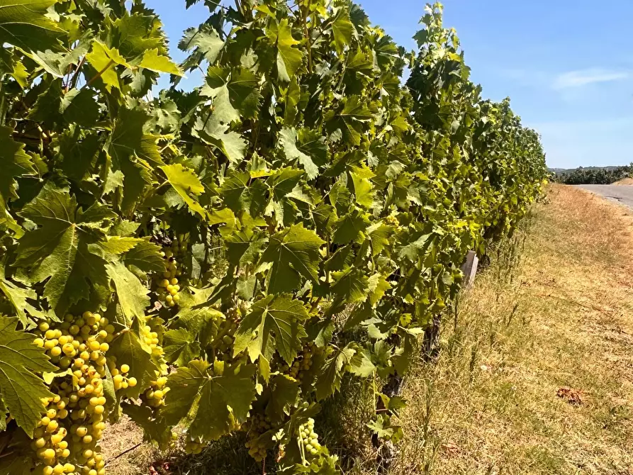Immagine 57 di Rustico / casale in vendita  in Regione Secco 72 a Canelli
