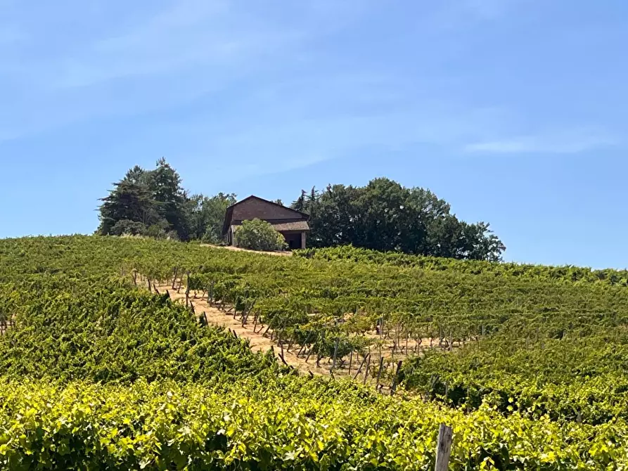 Immagine 60 di Rustico / casale in vendita  in Regione Secco 72 a Canelli