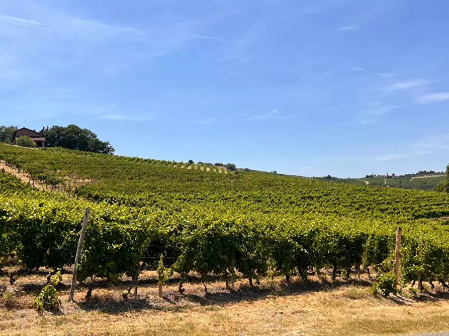 Immagine 61 di Rustico / casale in vendita  in Regione Secco 72 a Canelli