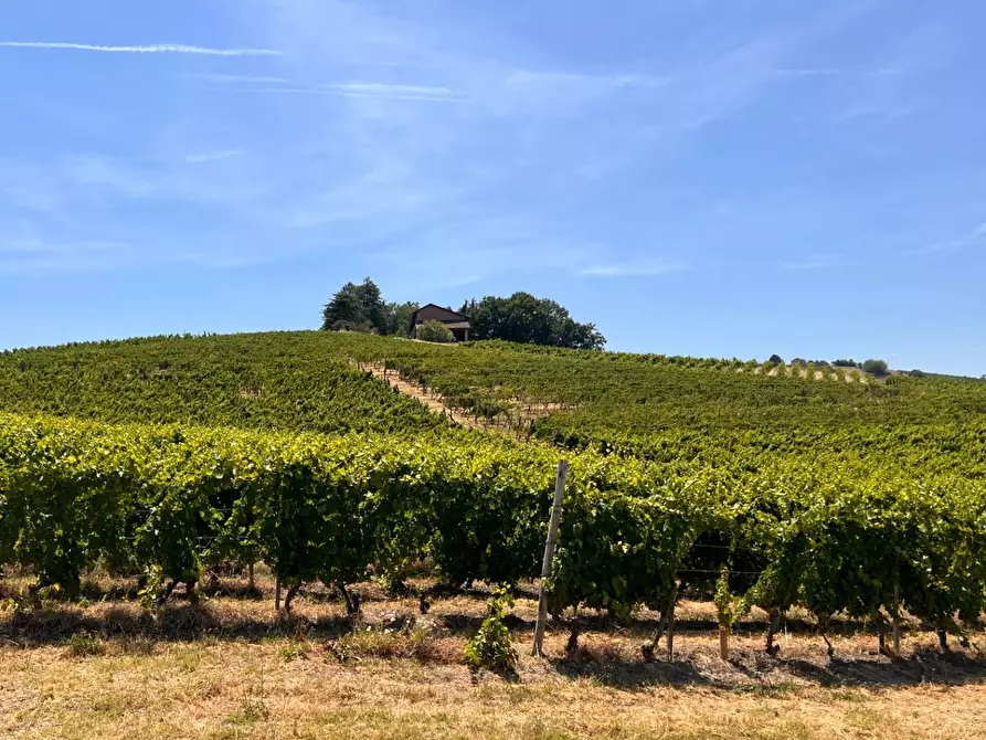 Immagine 62 di Rustico / casale in vendita  in Regione Secco 72 a Canelli