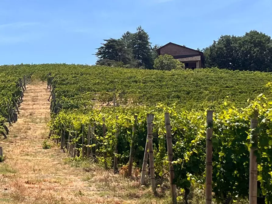 Immagine 63 di Rustico / casale in vendita  in Regione Secco 72 a Canelli