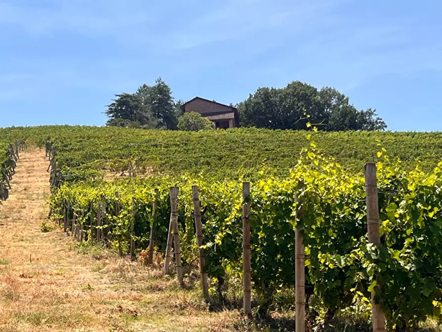 Immagine 64 di Rustico / casale in vendita  in Regione Secco 72 a Canelli