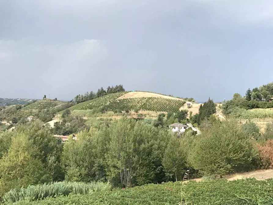 Immagine 14 di Rustico / casale in vendita  in Via Canelli a Cassinasco