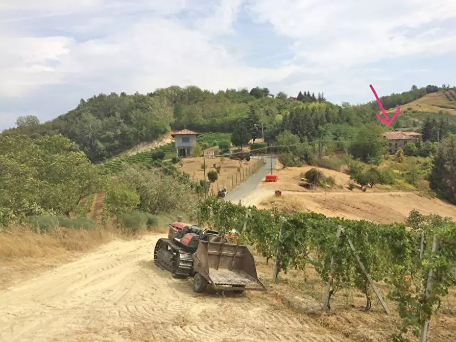 Immagine 20 di Rustico / casale in vendita  in Via Canelli a Cassinasco