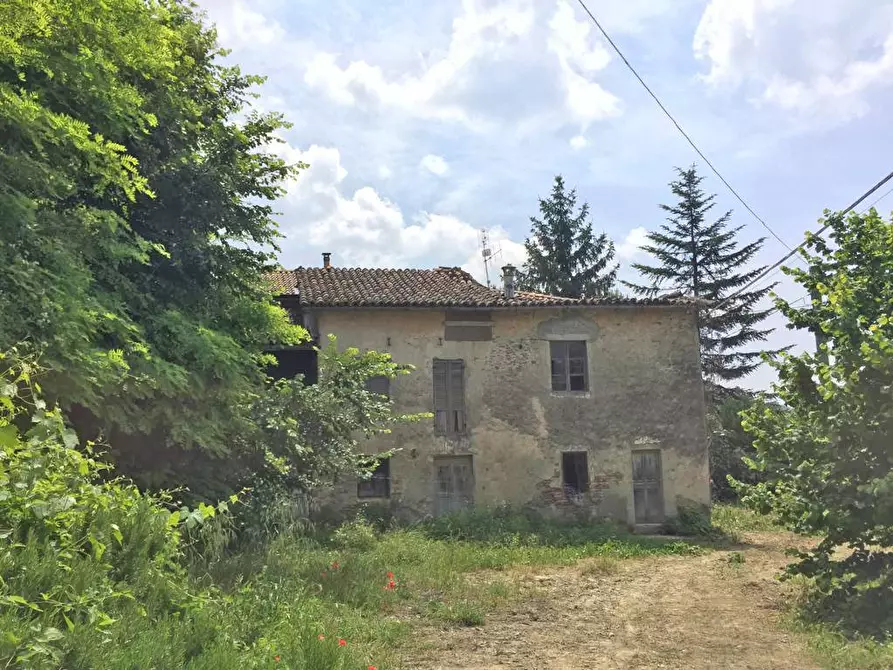 Immagine 3 di Rustico / casale in vendita  in Via Canelli a Cassinasco