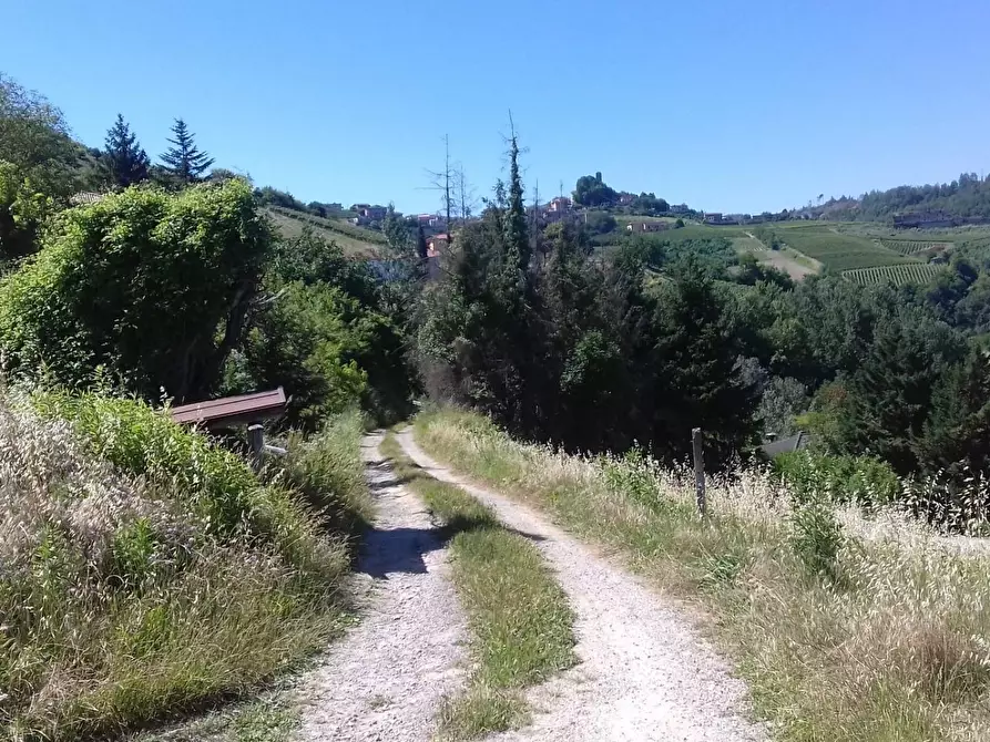 Immagine 10 di Rustico / casale in vendita  in Via Canelli a Cassinasco
