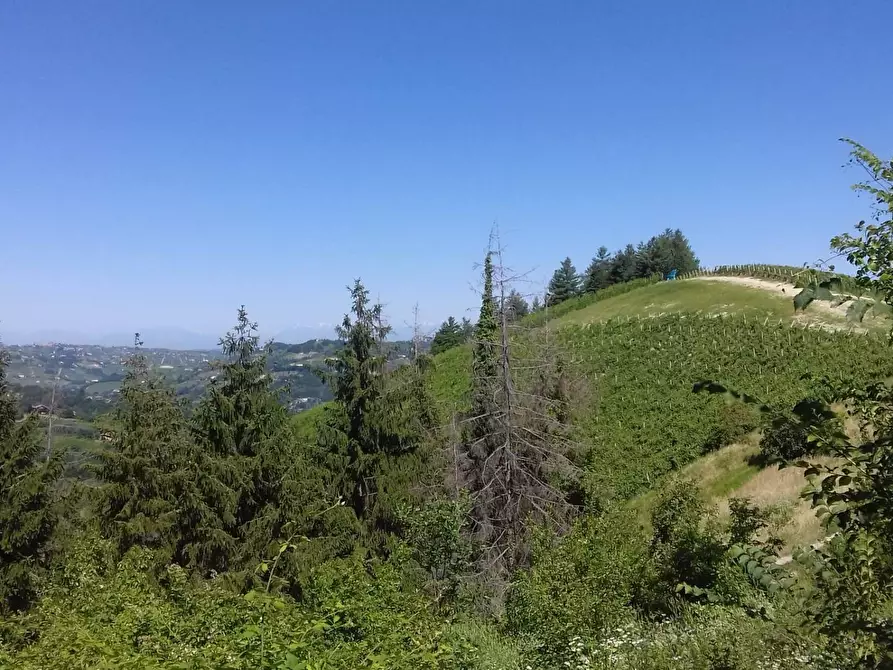 Immagine 1 di Rustico / casale in vendita  in Via Canelli a Cassinasco