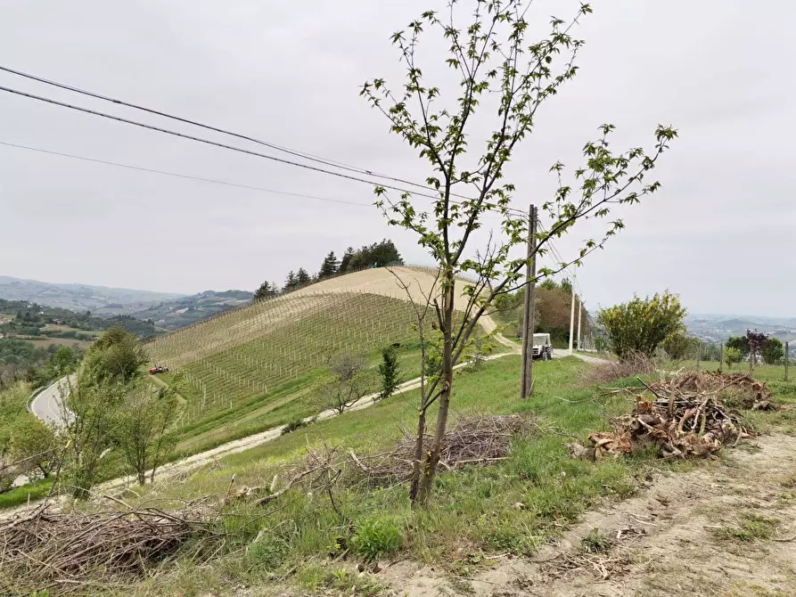 Immagine 17 di Rustico / casale in vendita  in Via Canelli a Cassinasco