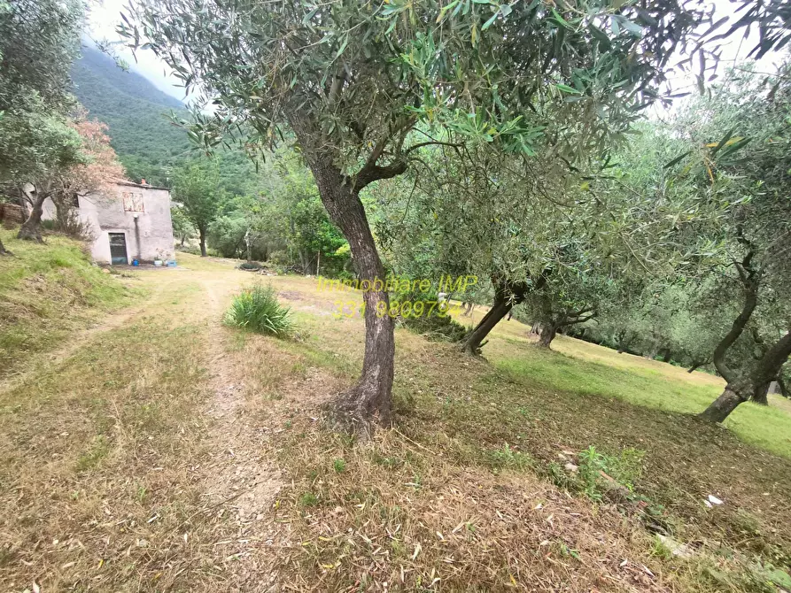 Immagine 5 di Rustico / casale in vendita  in Via Leade 4 a Toirano