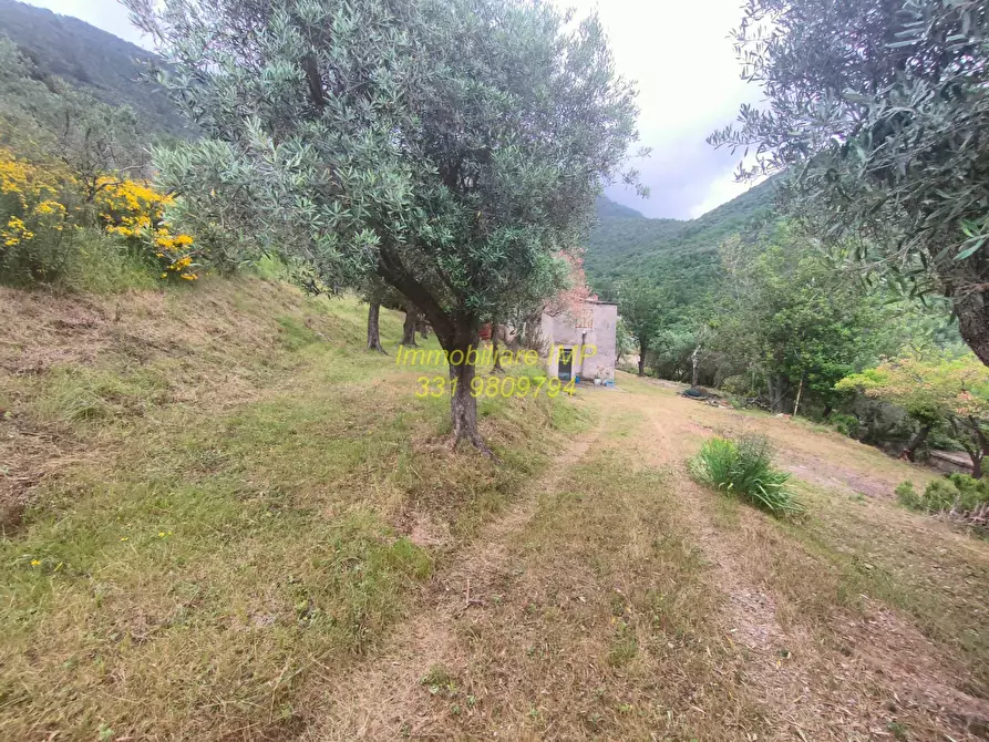 Immagine 6 di Rustico / casale in vendita  in Via Leade 4 a Toirano