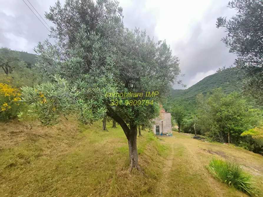 Immagine 7 di Rustico / casale in vendita  in Via Leade 4 a Toirano