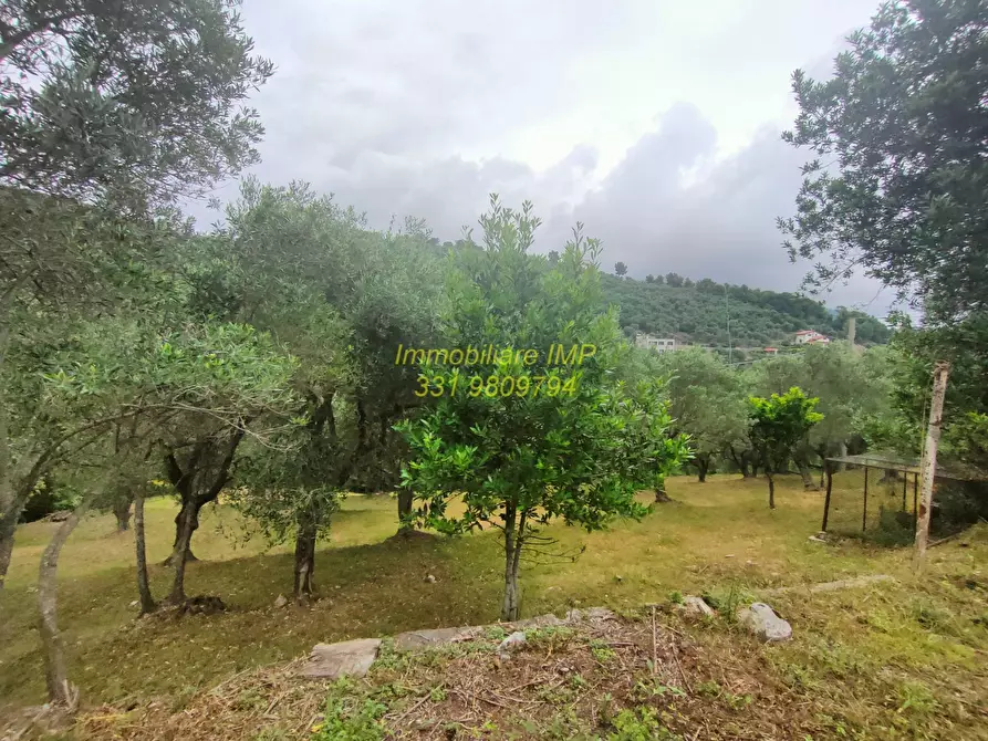 Immagine 14 di Rustico / casale in vendita  in Via Leade 4 a Toirano