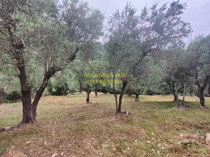 Immagine 22 di Rustico / casale in vendita  in Via Leade 4 a Toirano