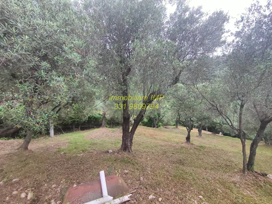 Immagine 23 di Rustico / casale in vendita  in Via Leade 4 a Toirano