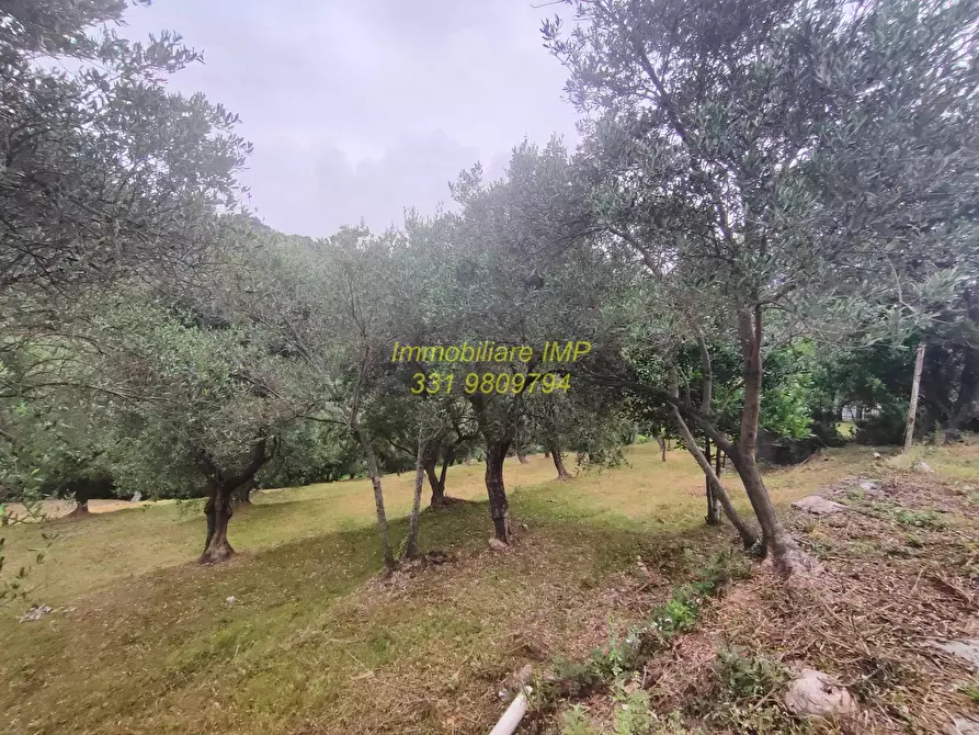 Immagine 24 di Rustico / casale in vendita  in Via Leade 4 a Toirano