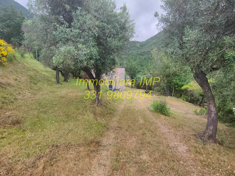 Immagine 37 di Rustico / casale in vendita  in Via Leade 4 a Toirano