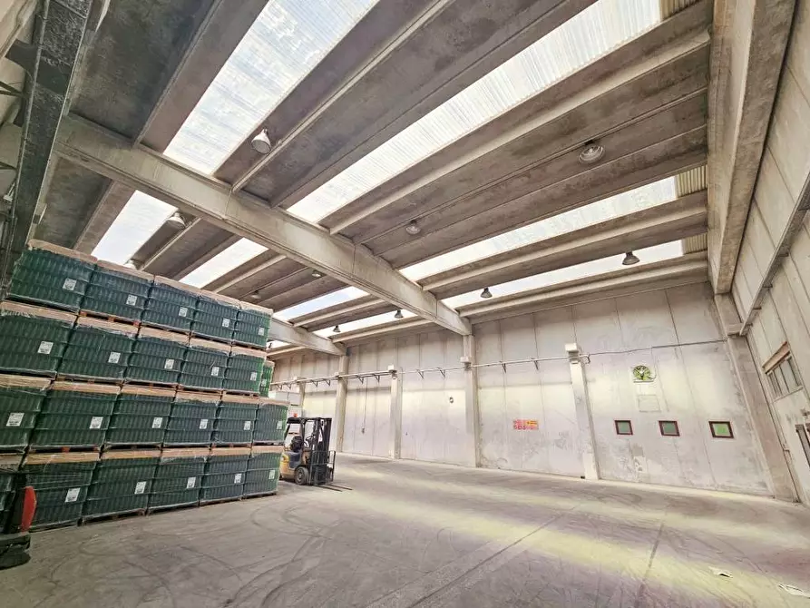 Immagine 10 di Capannone industriale in vendita  in VIA MALNISCE 3/A a Savogna D'isonzo