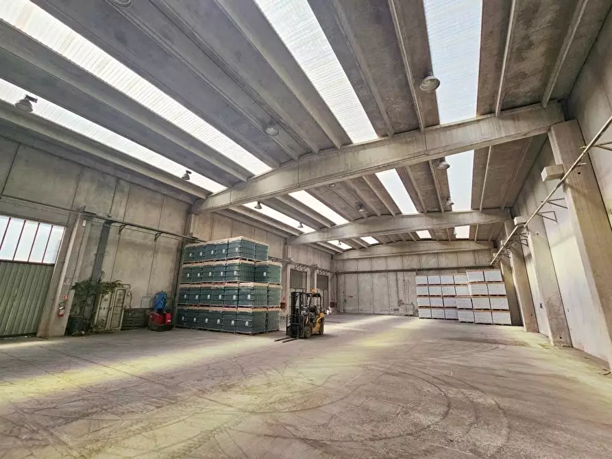 Immagine 12 di Capannone industriale in vendita  in VIA MALNISCE 3/A a Savogna D'isonzo