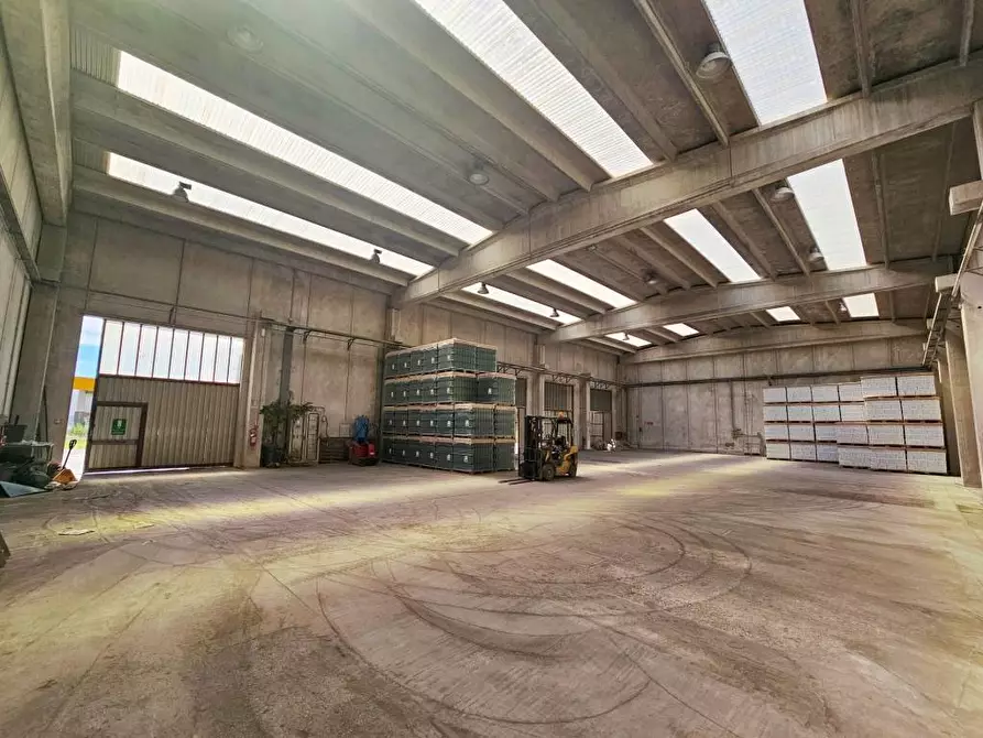 Immagine 13 di Capannone industriale in vendita  in VIA MALNISCE 3/A a Savogna D'isonzo