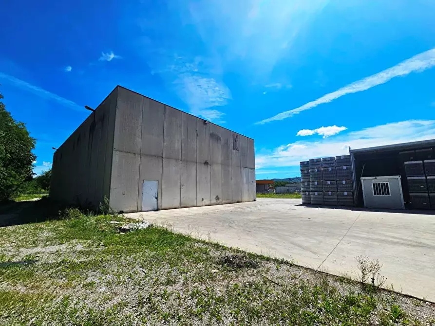 Immagine 7 di Capannone industriale in vendita  in VIA MALNISCE 3/A a Savogna D'isonzo
