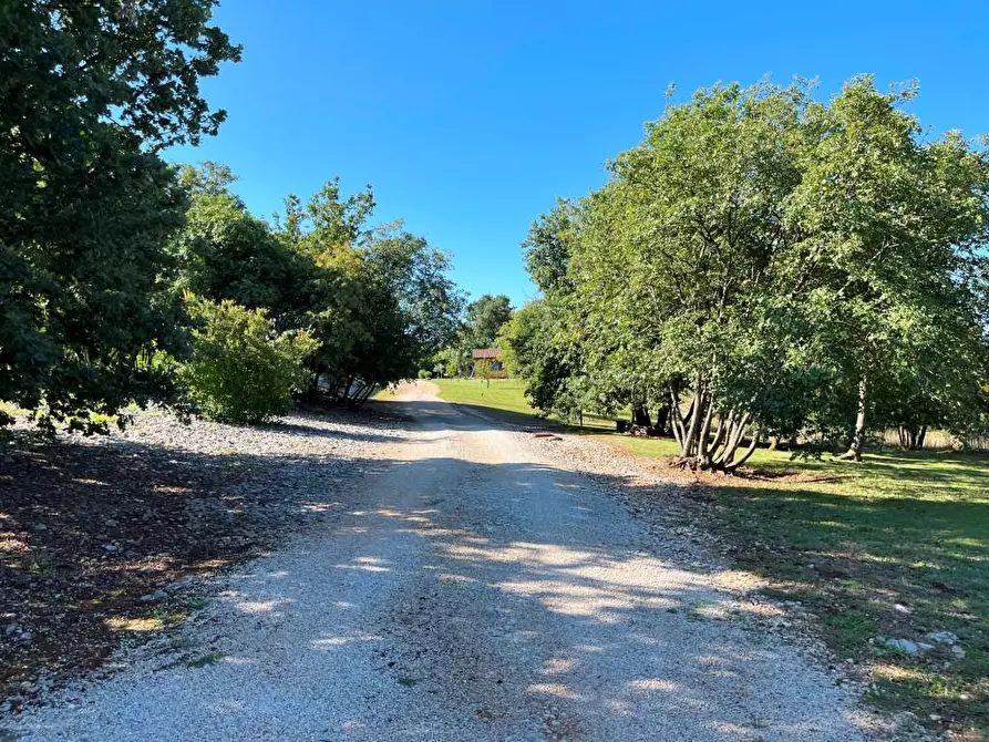 Immagine 14 di Palazzo in vendita  in VIA ZONA SACRA 24 a Sagrado