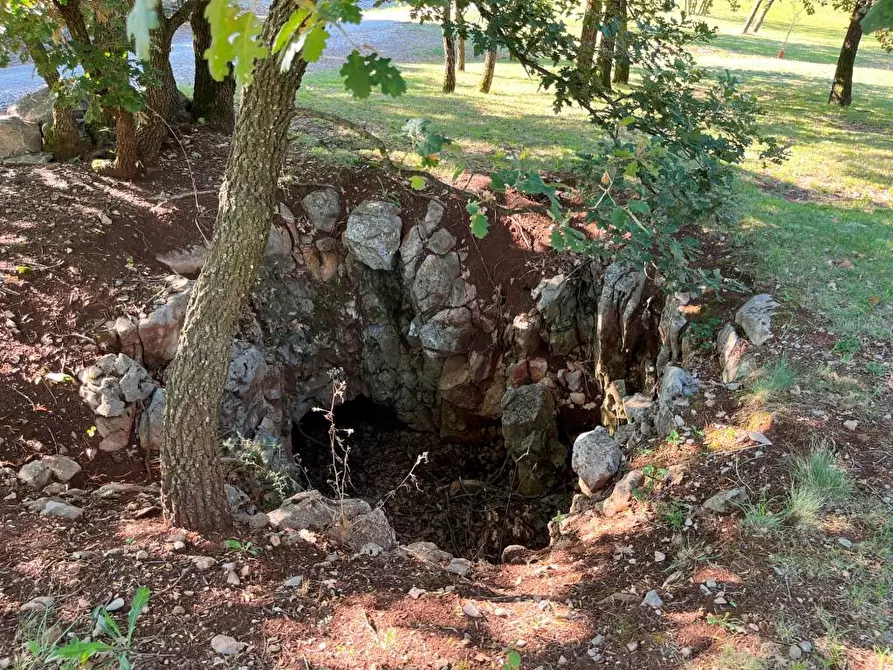 Immagine 23 di Palazzo in vendita  in VIA ZONA SACRA 24 a Sagrado