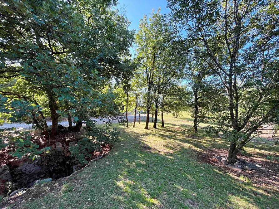 Immagine 15 di Palazzo in vendita  in VIA ZONA SACRA 24 a Sagrado