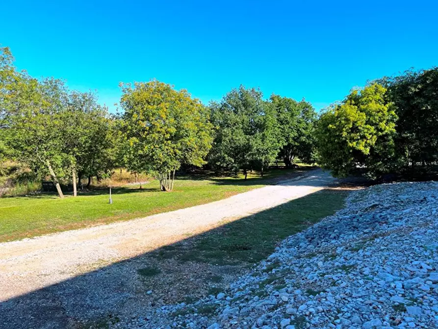 Immagine 17 di Palazzo in vendita  in VIA ZONA SACRA 24 a Sagrado