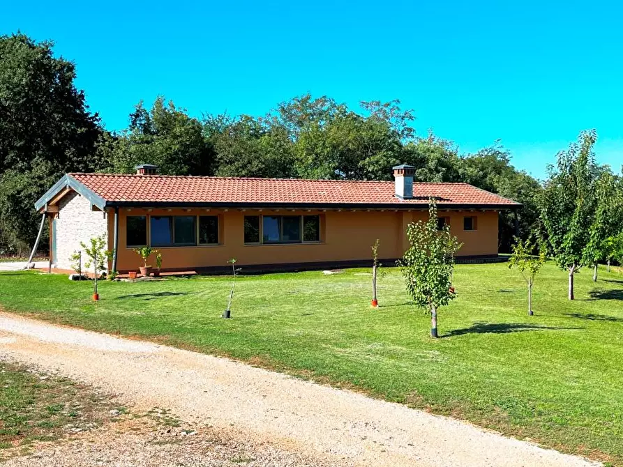 Immagine 6 di Palazzo in vendita  in VIA ZONA SACRA 24 a Sagrado