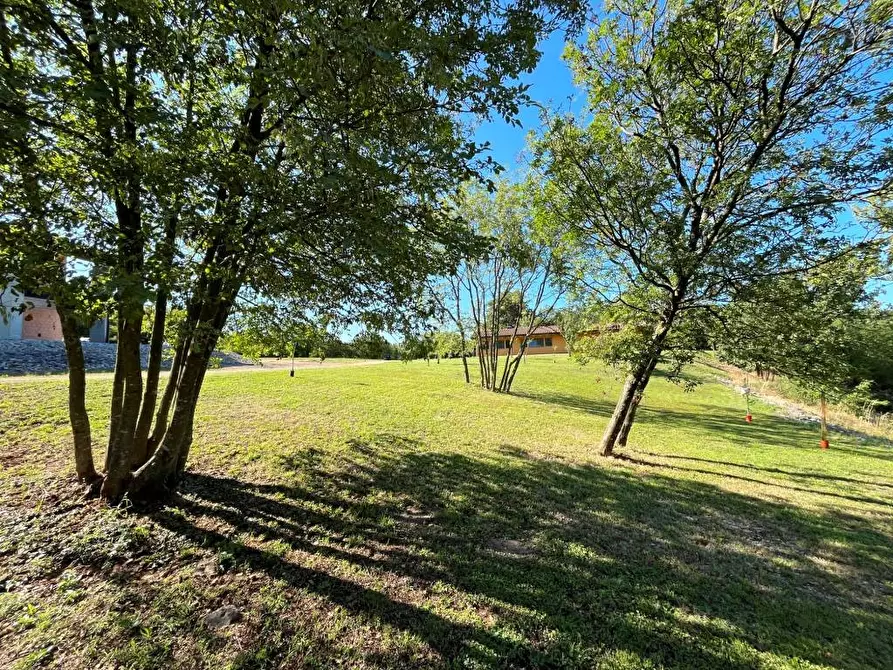 Immagine 22 di Palazzo in vendita  in VIA ZONA SACRA 24 a Sagrado